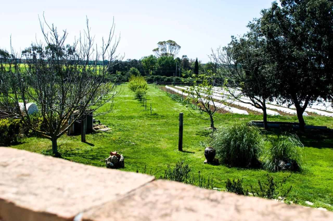 Villa Enli Capalbio Bagian luar foto