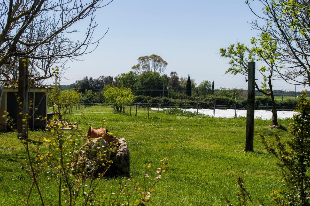 Villa Enli Capalbio Bagian luar foto